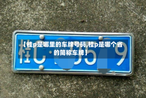 【桂p是哪里的车牌号码,桂p是哪个省的简称车牌】