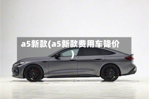 a5新款(a5新款费用车降价)