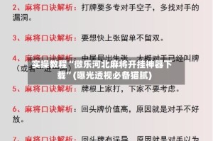 实操教程“微乐河北麻将开挂神器下载”(曝光透视必备猫腻)