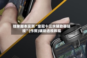 独家脚本实测“皇冠十三水辅助器链接”(作弊)辅助透视教程