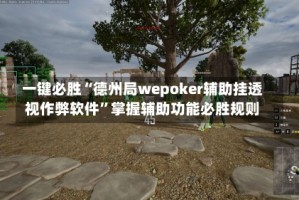 一键必胜“德州局wepoker辅助挂透视作弊软件”掌握辅助功能必胜规则