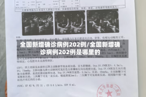 全国新增确诊病例202例/全国新增确诊病例202例是哪里的