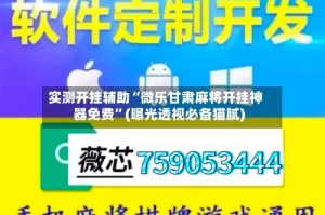 实测开挂辅助“微乐甘肃麻将开挂神器免费”(曝光透视必备猫腻)