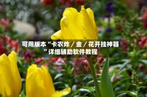 可用版本“卡农炸／金／花开挂神器”详细辅助软件教程