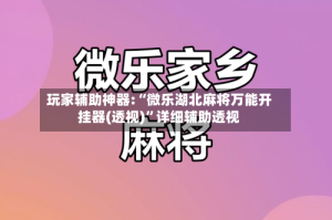 玩家辅助神器:“微乐湖北麻将万能开挂器(透视)”详细辅助透视