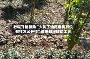 教程开挂辅助“大树下汕尾麻将有没有挂怎么开挂”详细教程辅助工具