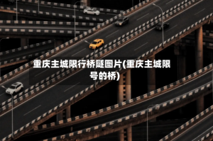 重庆主城限行桥隧图片(重庆主城限号的桥)