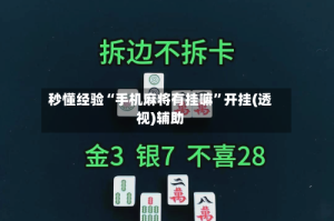 秒懂经验“手机麻将有挂嘛”开挂(透视)辅助