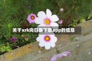 关于xrk向日葵下载app的信息