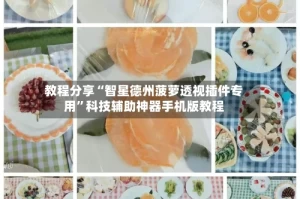 教程分享“智星德州菠萝透视插件专用”科技辅助神器手机版教程