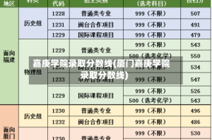 嘉庚学院录取分数线(厦门嘉庚学院录取分数线)