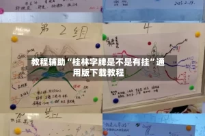 教程辅助“桂林字牌是不是有挂”通用版下载教程