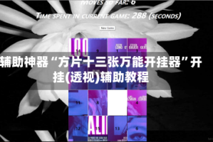 辅助神器“方片十三张万能开挂器”开挂(透视)辅助教程