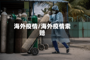 海外疫情/海外疫情索赔