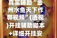 真实辅助“金州水鱼天下作弊视频”(透视)开挂辅助脚本+详细开挂安装教程
