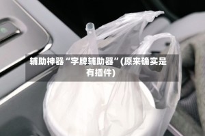辅助神器“字牌辅助器”(原来确实是有插件)