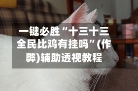 一键必胜“十三十三全民比鸡有挂吗”(作弊)辅助透视教程