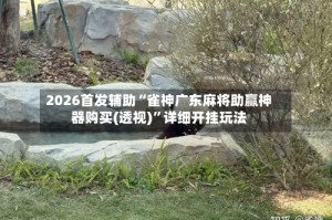 2026首发辅助“雀神广东麻将助赢神器购买(透视)”详细开挂玩法