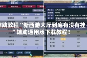 辅助教程“新西游大厅到底有没有挂”辅助通用版下载教程！