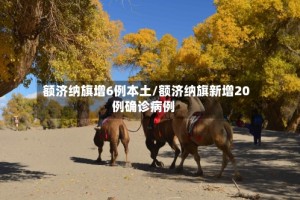 额济纳旗增6例本土/额济纳旗新增20例确诊病例