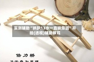 实测辅助“拱趴13水一直输原因”开挂(透视)辅助教程