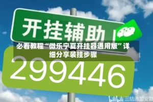 必看教程“微乐宁夏开挂器通用版”详细分享装挂步骤