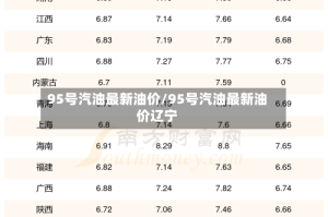 95号汽油最新油价/95号汽油最新油价辽宁