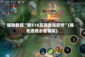 辅助教程“新518互游透视软件”(曝光透视必备猫腻)