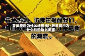 黄金费用为什么还在涨?/黄金费用为什么涨的这么厉害