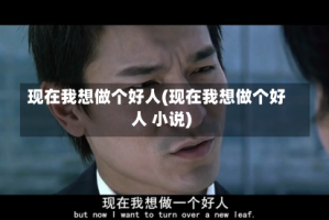现在我想做个好人(现在我想做个好人 小说)