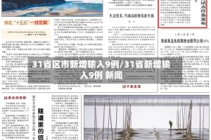 31省区市新增输入9例/31省新增输入9例 新闻