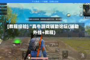 [教程经验]“真牛游戏辅助论坛(辅助外挂+教程)