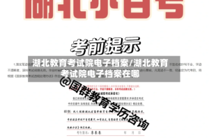 湖北教育考试院电子档案/湖北教育考试院电子档案在哪