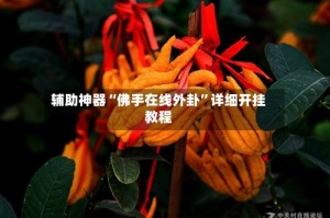 辅助神器“佛手在线外卦”详细开挂教程