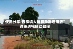 使用分享!吉祥填大坑辅助器通用版”详细透视辅助教程