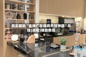 真实辅助“雀神广东麻将开挂神器”开挂(透视)辅助教程