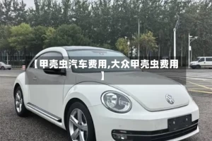 【甲壳虫汽车费用,大众甲壳虫费用】