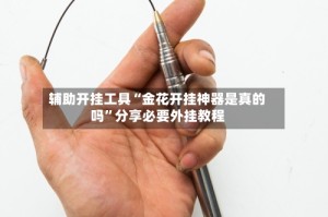 辅助开挂工具“金花开挂神器是真的吗”分享必要外挂教程