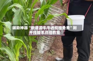 辅助神器“新道游牛牛透视挂免费”附开挂脚本详细教程