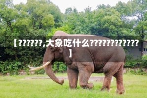 【??????,大象吃什么????????????】