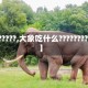 【??????,大象吃什么????????????】
