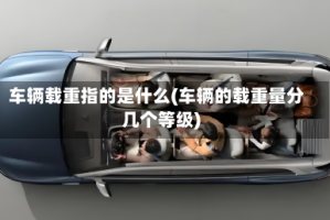 车辆载重指的是什么(车辆的载重量分几个等级)