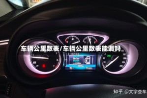车辆公里数表/车辆公里数表能调吗