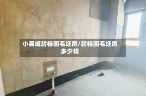 小县城碧桂园毛坯房/碧桂园毛坯房多少钱