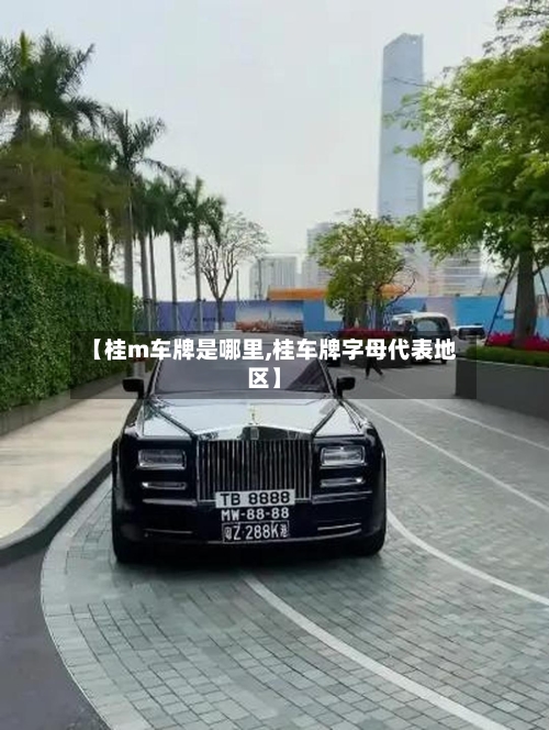 【桂m车牌是哪里,桂车牌字母代表地区】-第2张图片