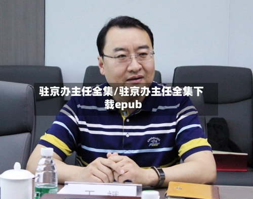 驻京办主任全集/驻京办主任全集下载epub-第1张图片