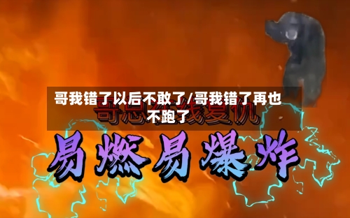 哥我错了以后不敢了/哥我错了再也不跑了-第1张图片