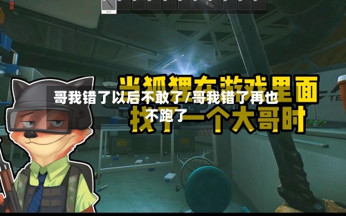 哥我错了以后不敢了/哥我错了再也不跑了-第2张图片