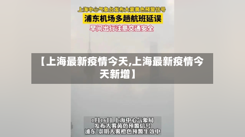 【上海最新疫情今天,上海最新疫情今天新增】-第3张图片