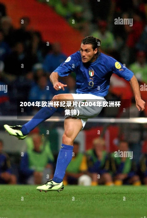2004年欧洲杯纪录片(2004年欧洲杯集锦)-第1张图片
